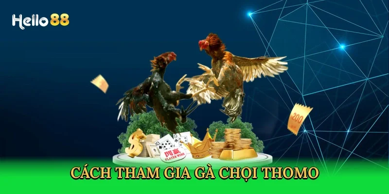 cach-tham-gia-ga-choi-thomo-3