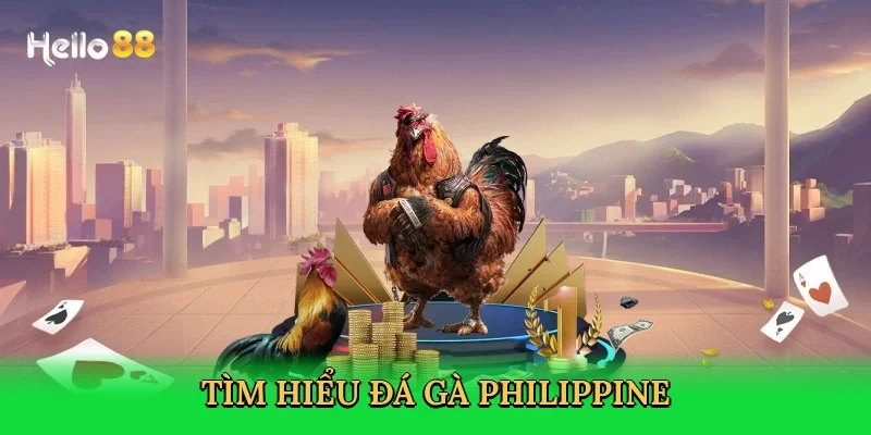 tim-hieu-da-ga-philippine-2