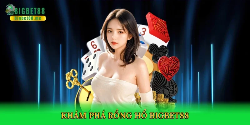 Khám phá rồng hổ Bigbet88