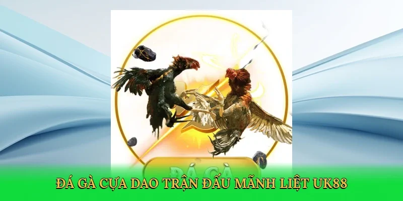 Đá gà cựa dao trận đấu mãnh liệt UK88