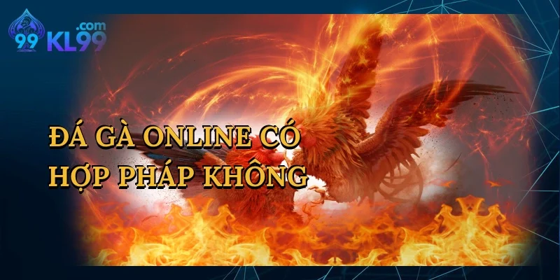 Đá Gà Online Có Hợp Pháp Không